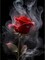 5D Rose Diamond Painting Kits for Adults Beginners, Red Flower Diamond Art Kit,DIY Full Round Drill Diamond Dot Gem Art Kits for Adults,Home Wall Decor 12x12 Inch